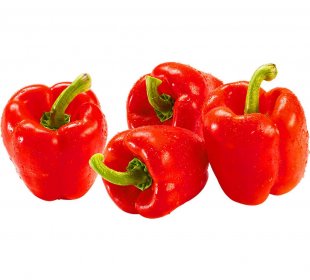 Paprika rot