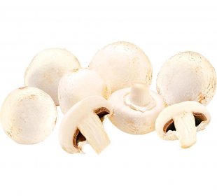 Champignons weiß