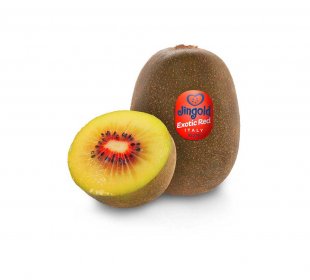 Jingold Kiwi rot