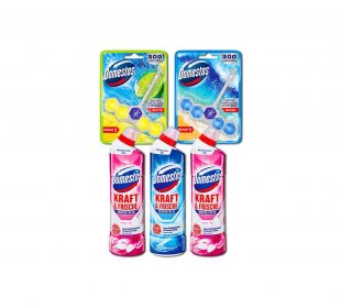 Domestos WC-Gel oder WC-Stein