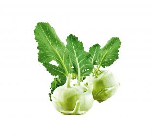 Kohlrabi